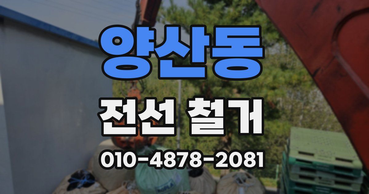 양산동 전선 철거