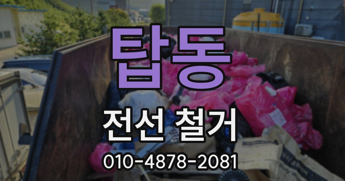 탑동 전선 철거