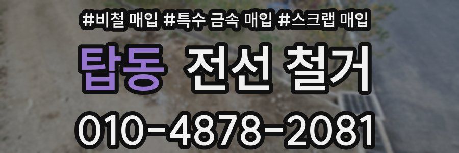 탑동 전선 철거