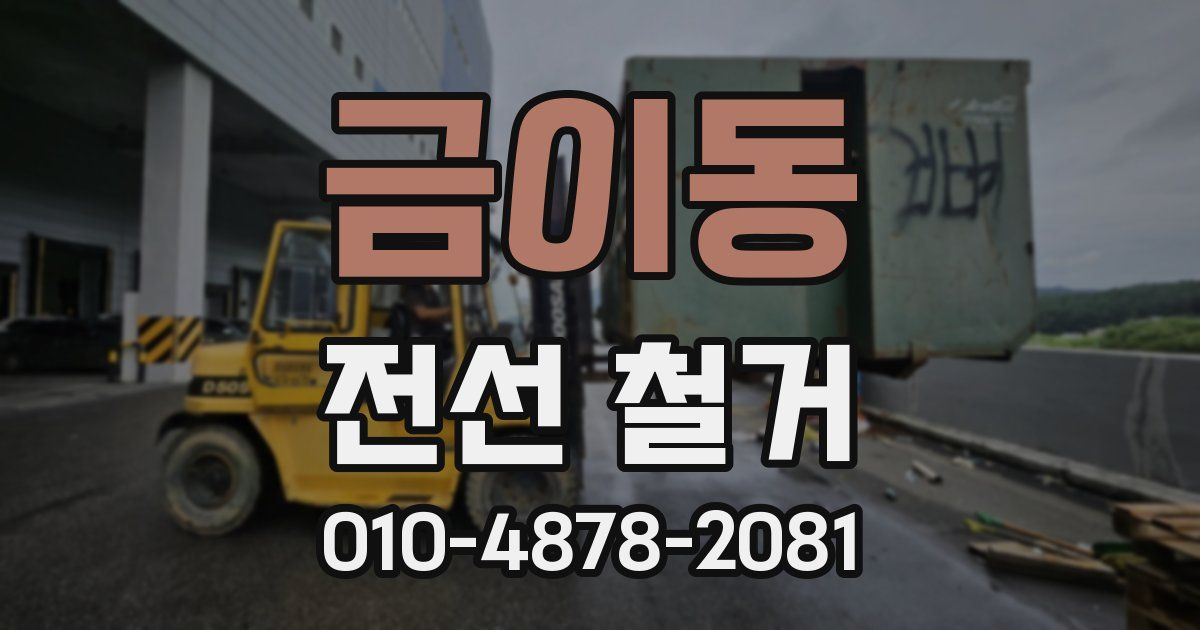 금이동 전선 철거