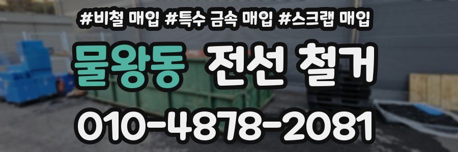 물왕동 전선 철거