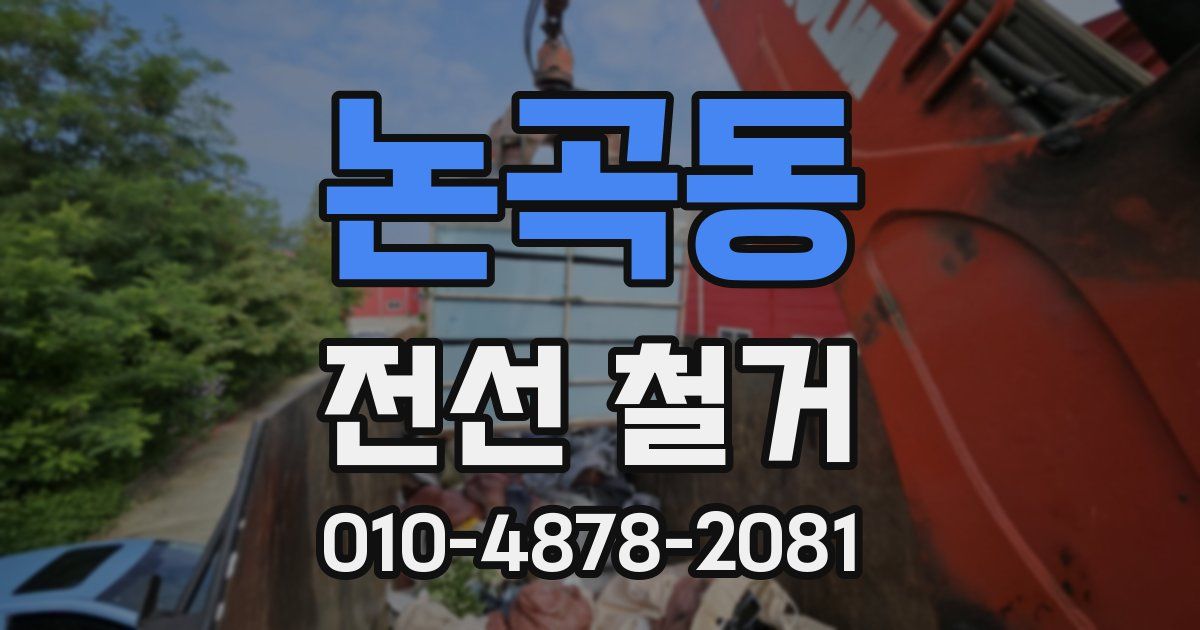 논곡동 전선 철거