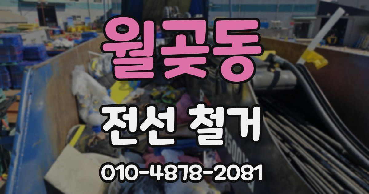 월곶동 전선 철거