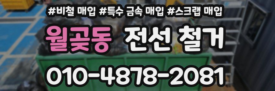 월곶동 전선 철거