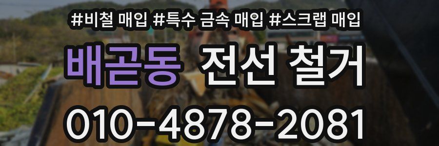 배곧동 전선 철거