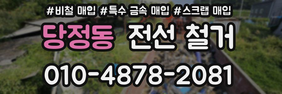 당정동 전선 철거