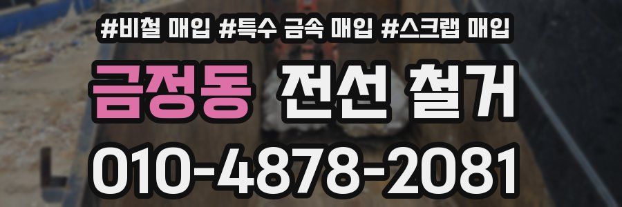 금정동 전선 철거