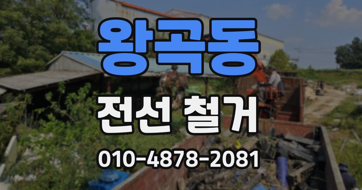 왕곡동 전선 철거