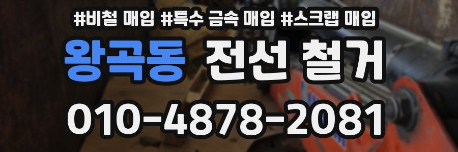 왕곡동 전선 철거