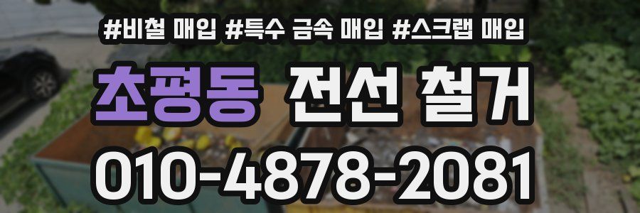 초평동 전선 철거