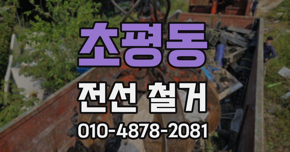 초평동 전선 철거