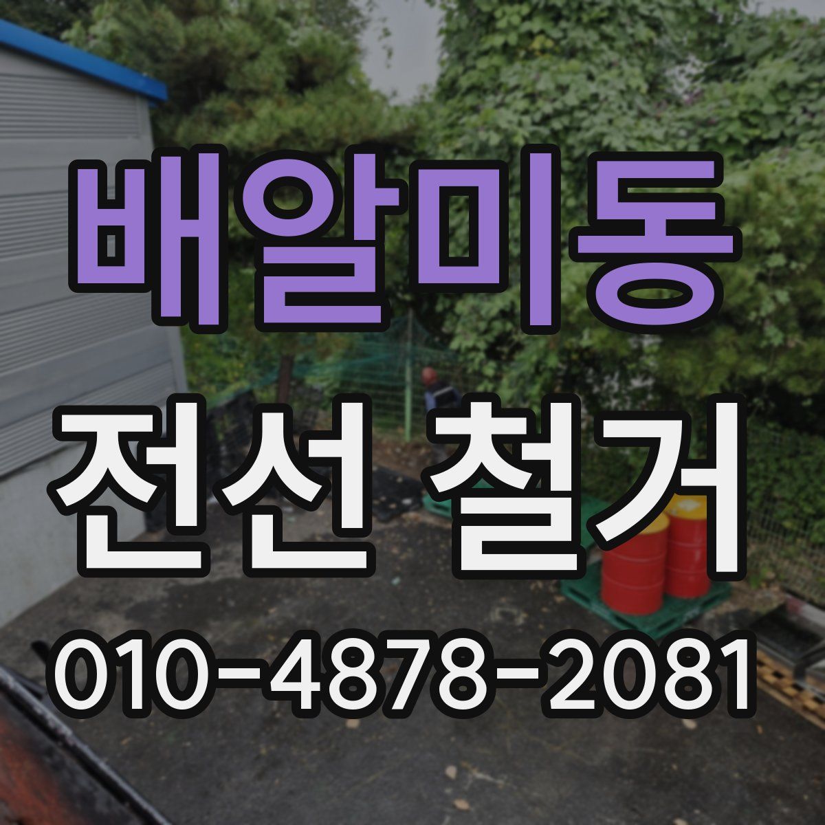 배알미동 전선 철거