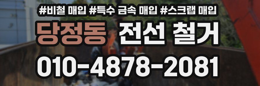 당정동 전선 철거