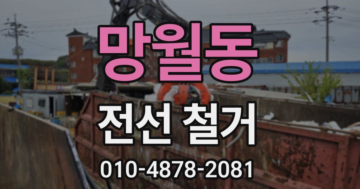 망월동 전선 철거