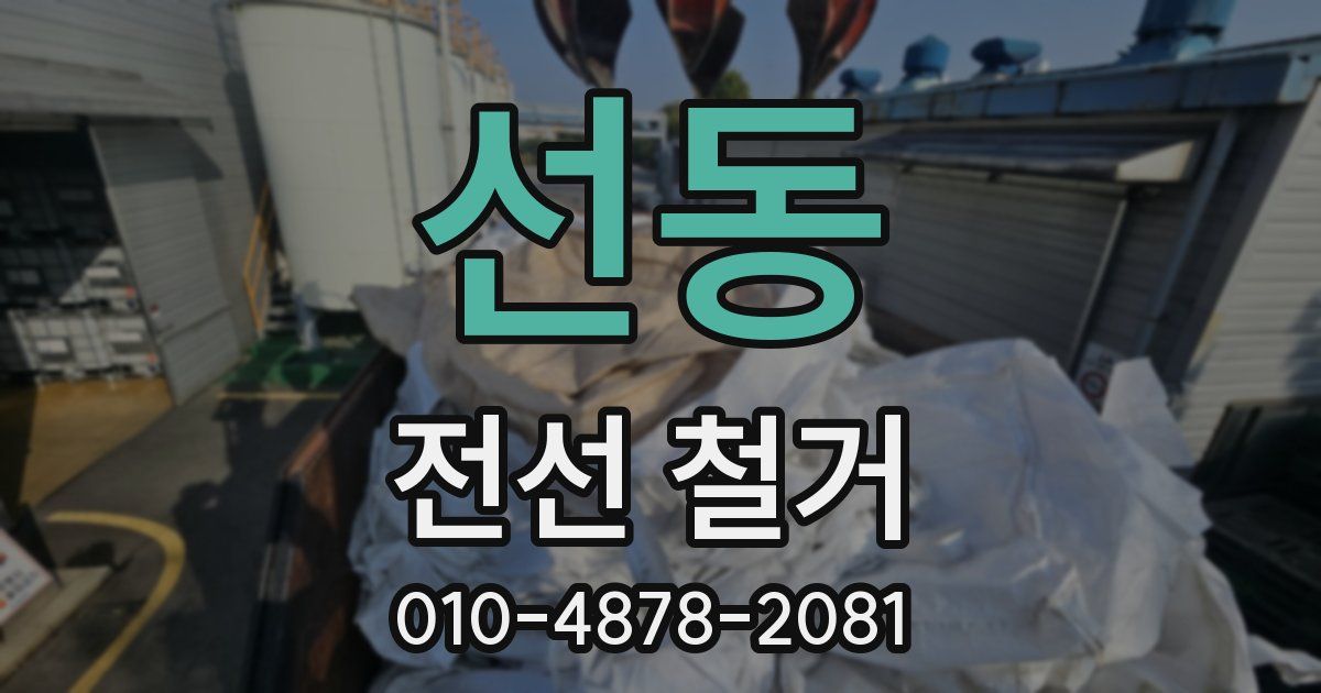 선동 전선 철거