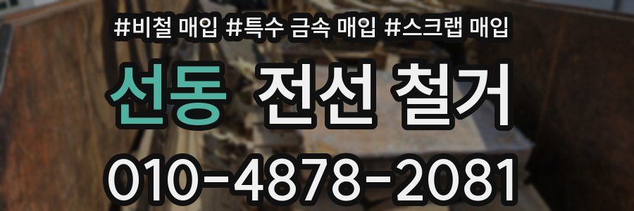 선동 전선 철거