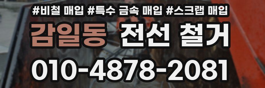 감일동 전선 철거