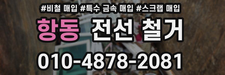 항동 전선 철거