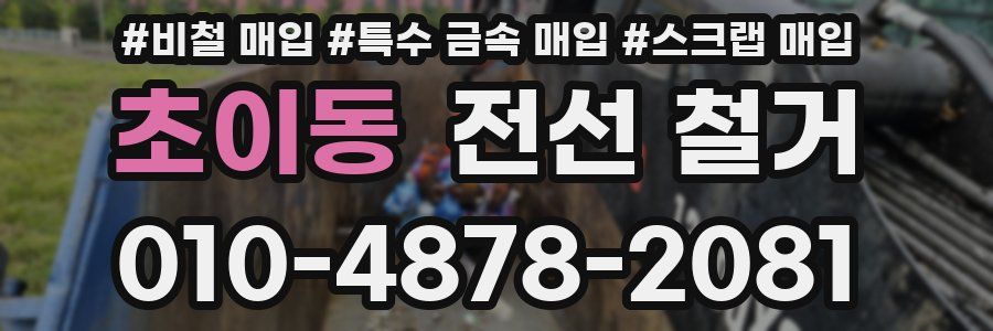 초이동 전선 철거
