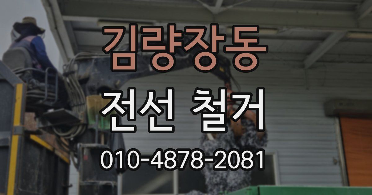 김량장동 전선 철거