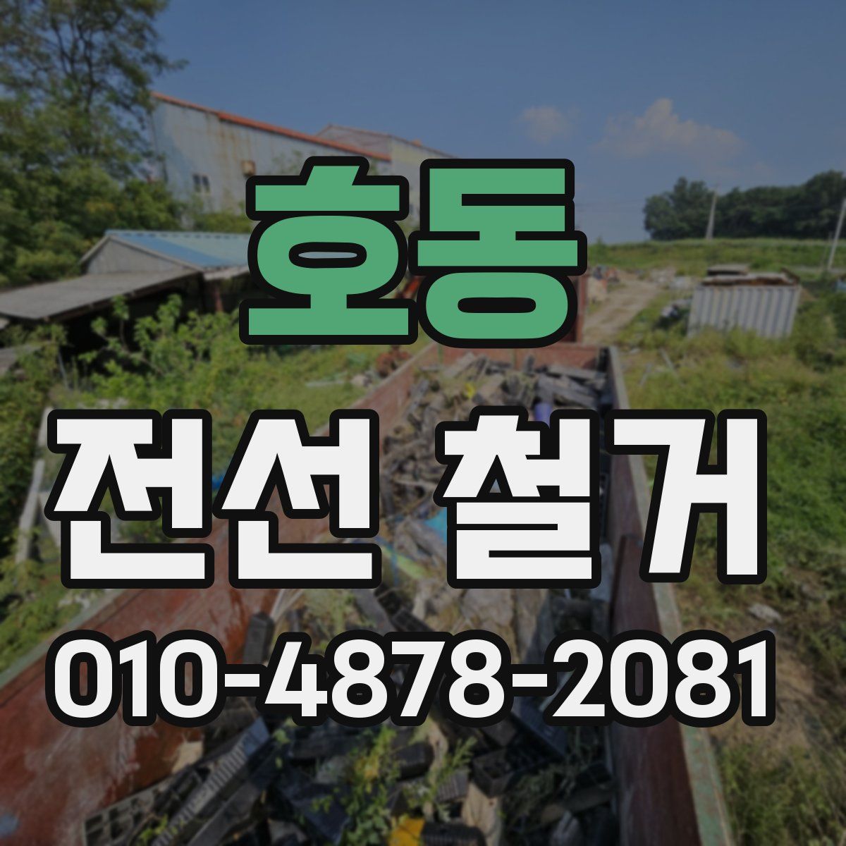 호동 전선 철거