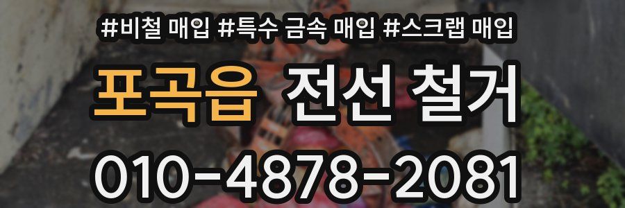 포곡읍 전선 철거
