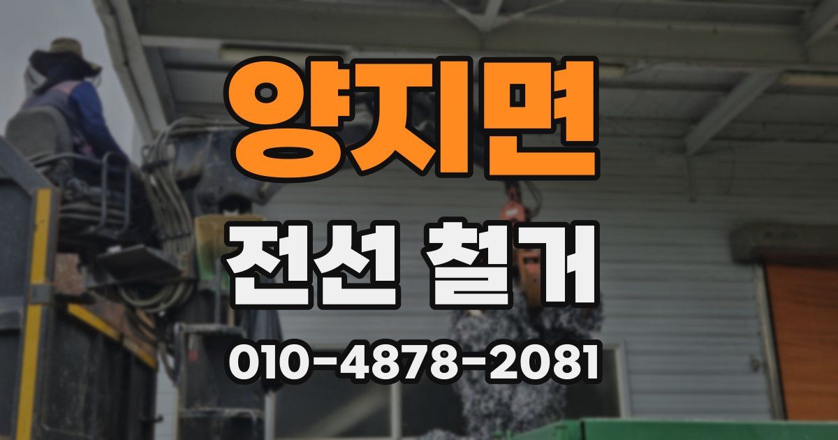 양지면 전선 철거