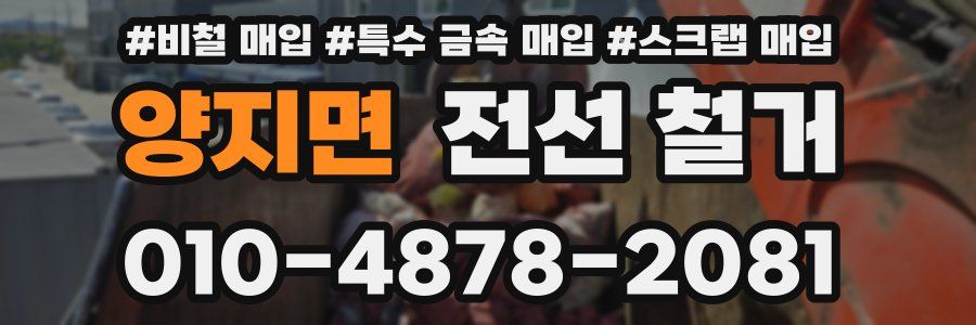 양지면 전선 철거