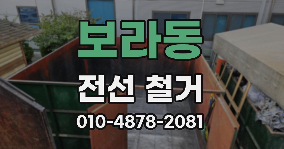 보라동 전선 철거