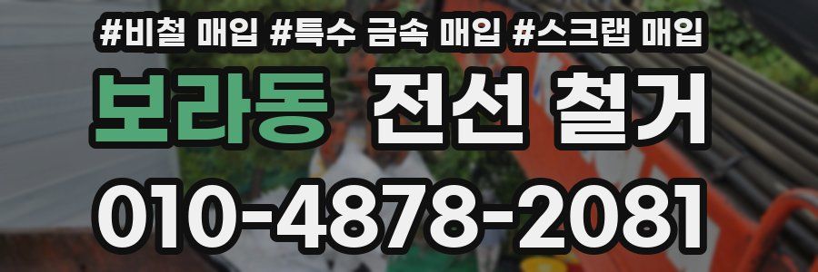 보라동 전선 철거