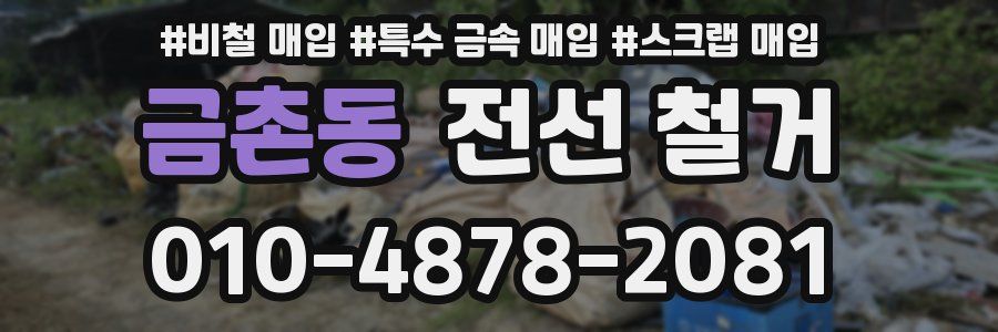 금촌동 전선 철거