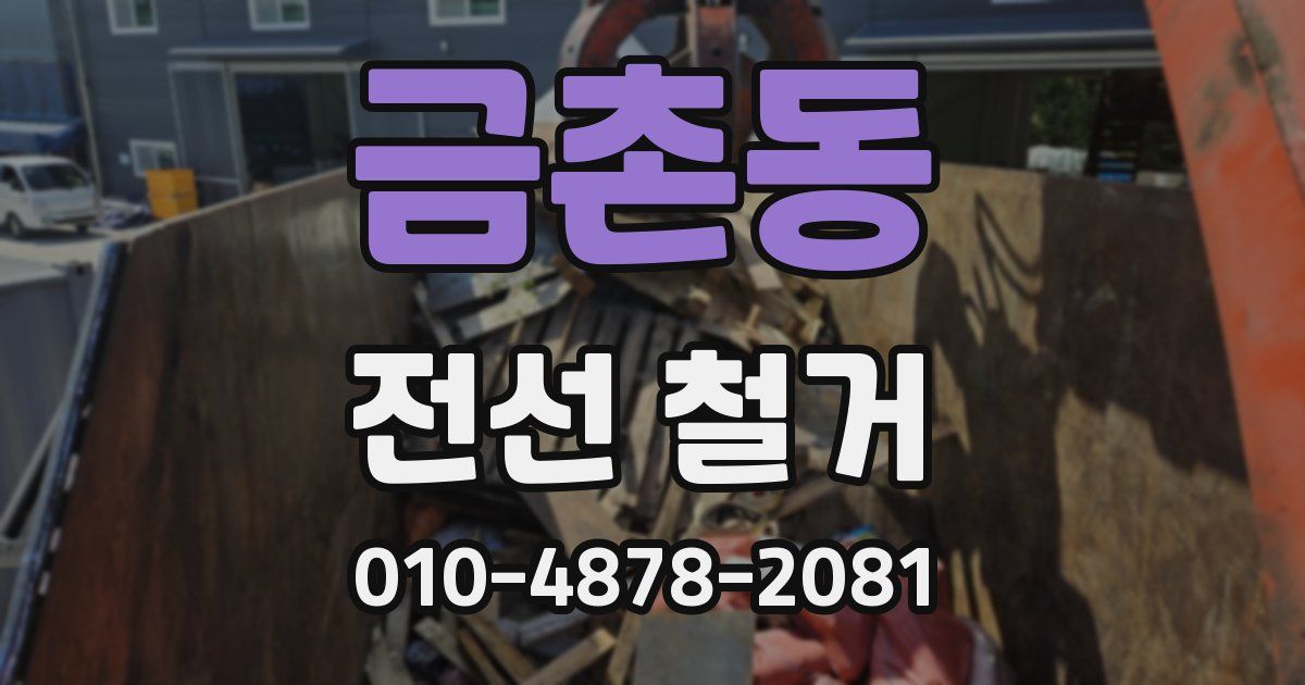 금촌동 전선 철거
