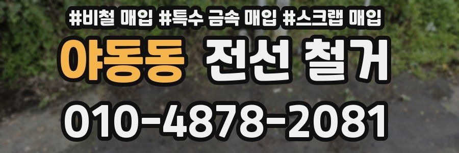 야동동 전선 철거