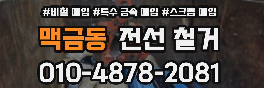 맥금동 전선 철거