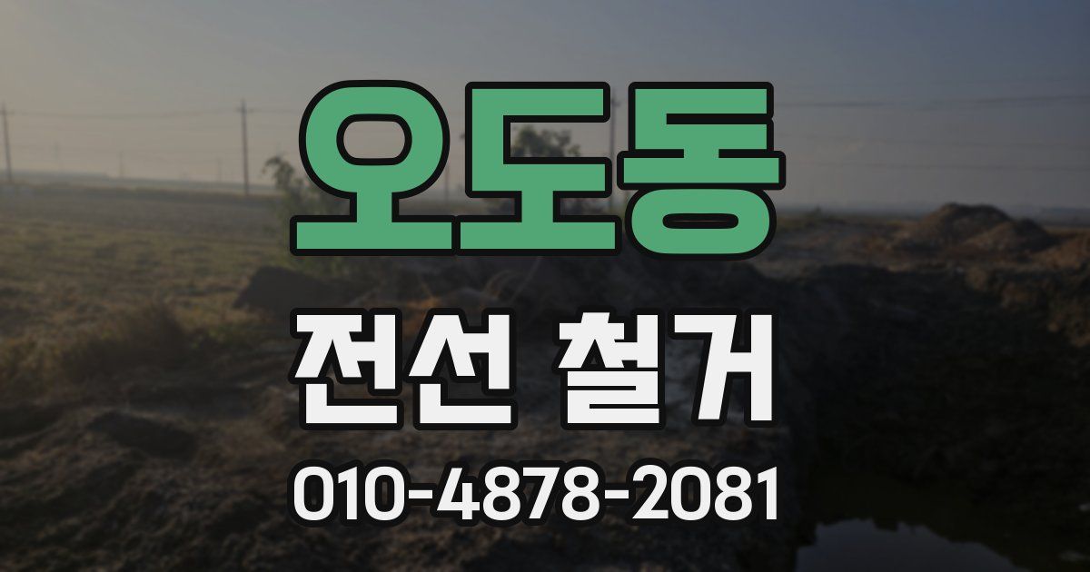 오도동 전선 철거