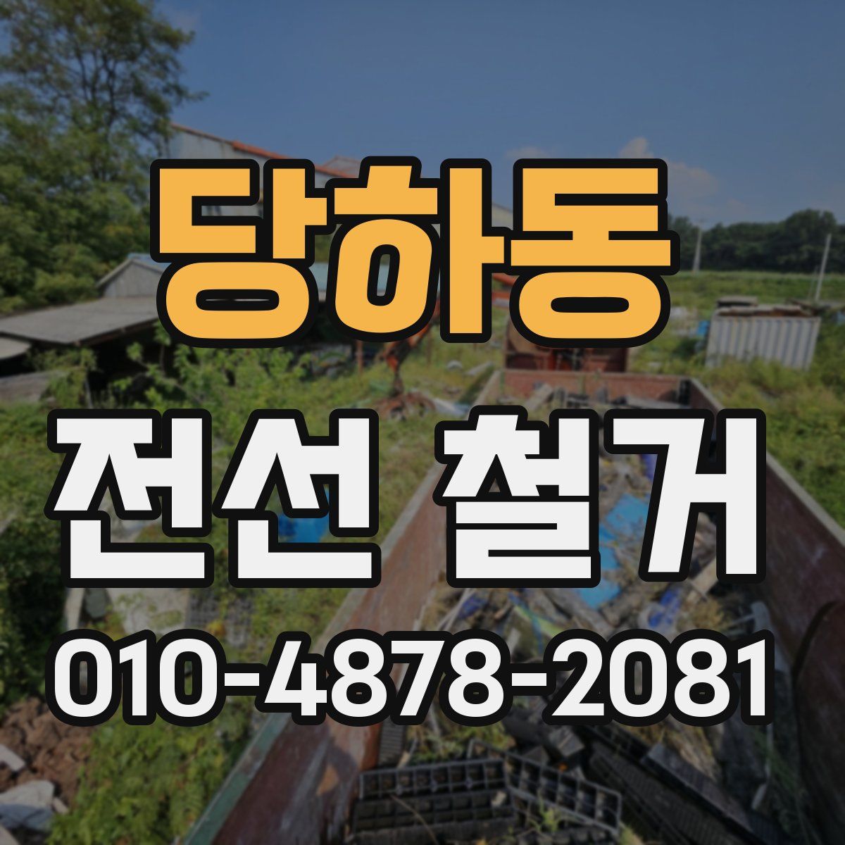 당하동 전선 철거