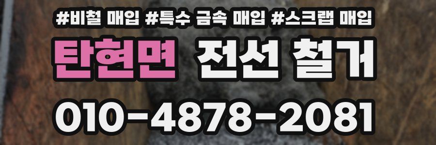 탄현면 전선 철거