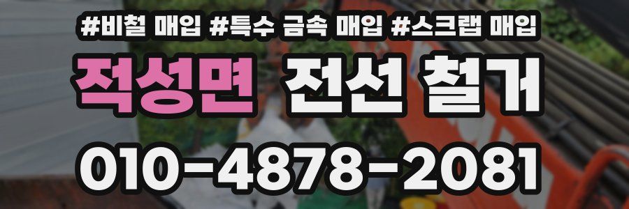 적성면 전선 철거