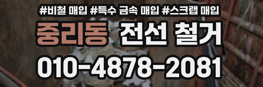 중리동 전선 철거