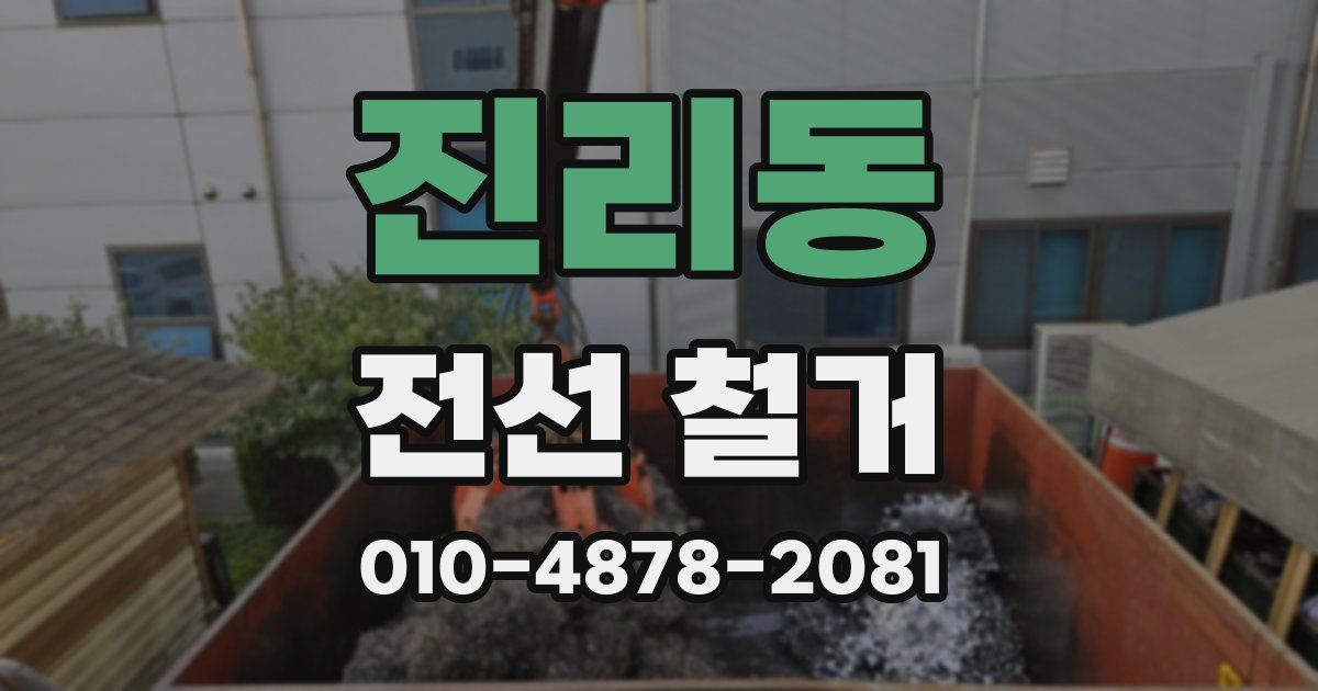 진리동 전선 철거