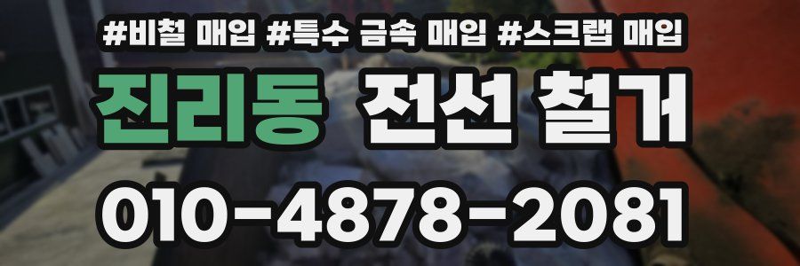 진리동 전선 철거
