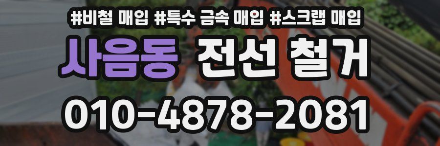 사음동 전선 철거