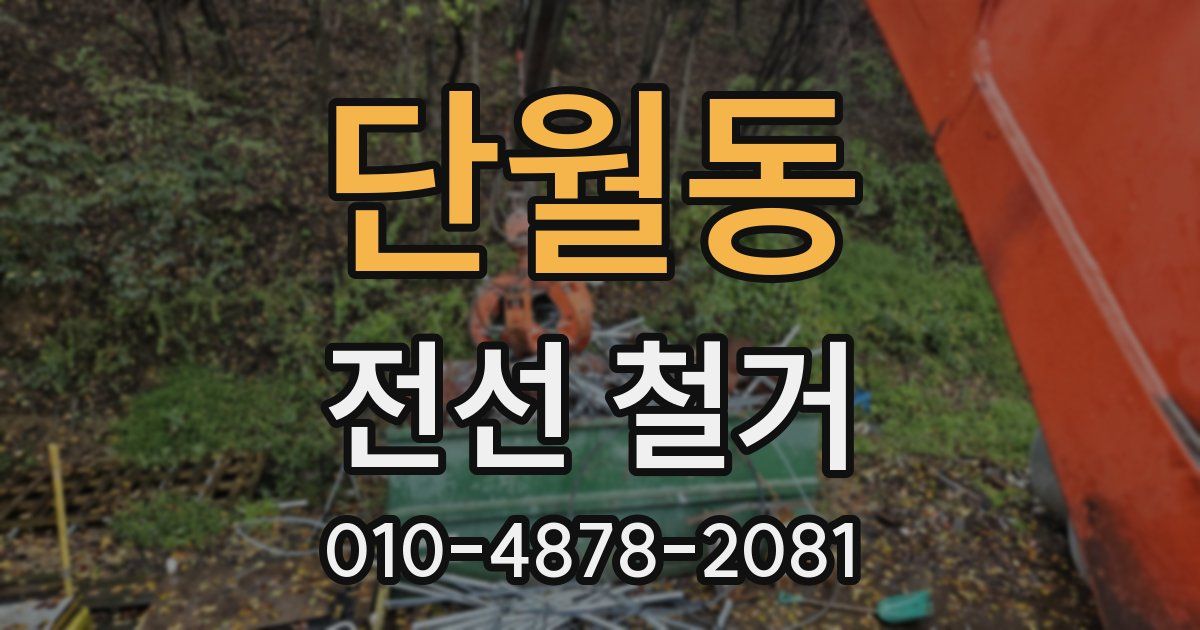 단월동 전선 철거