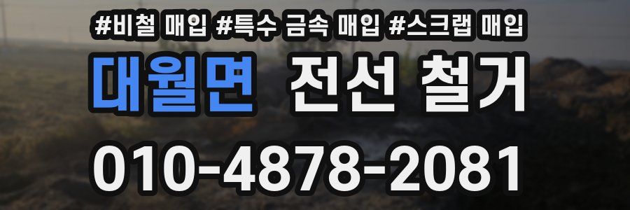 대월면 전선 철거
