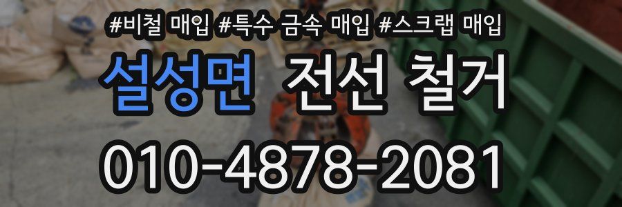 설성면 전선 철거