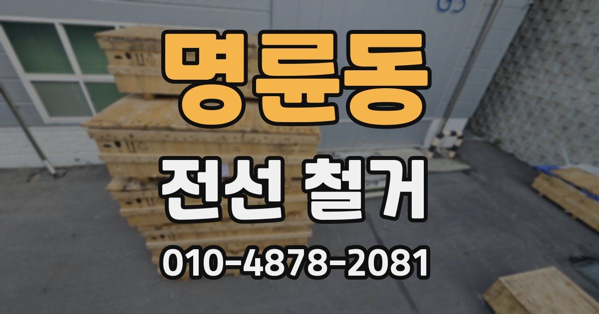 명륜동 전선 철거