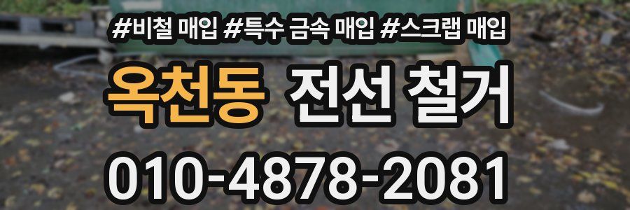 옥천동 전선 철거