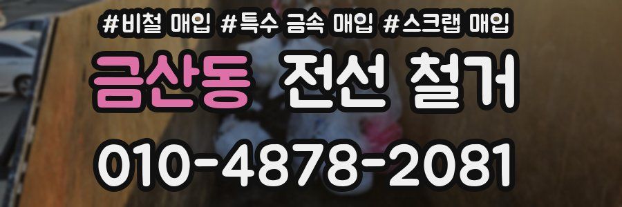 금산동 전선 철거