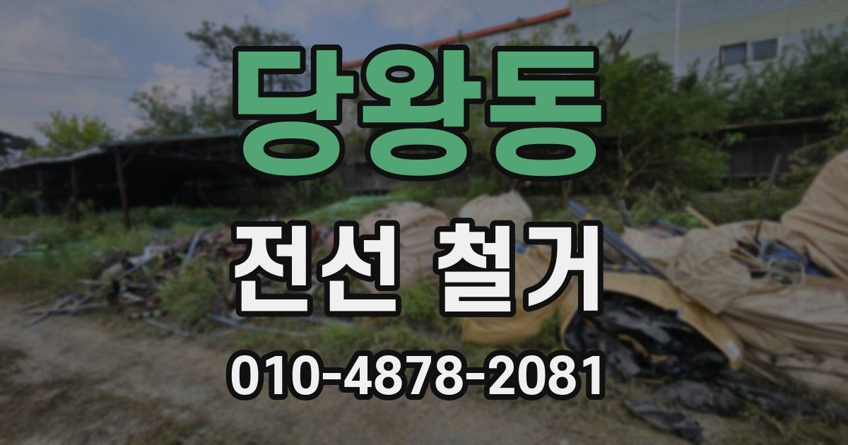 당왕동 전선 철거