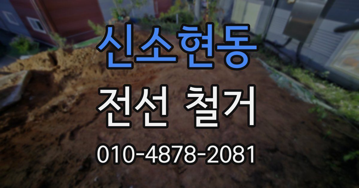 신소현동 전선 철거